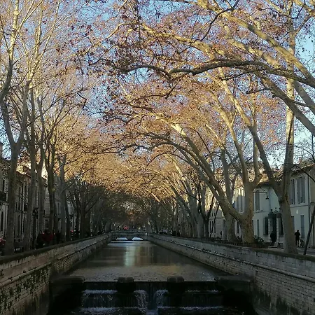 Grand Coeur De * Ним
